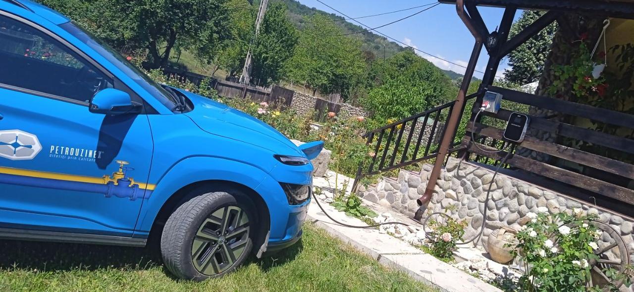 Pensiunea Gradinarilor cu ciubăr și stație de încărcare electrică auto Comanesti  Exterior foto